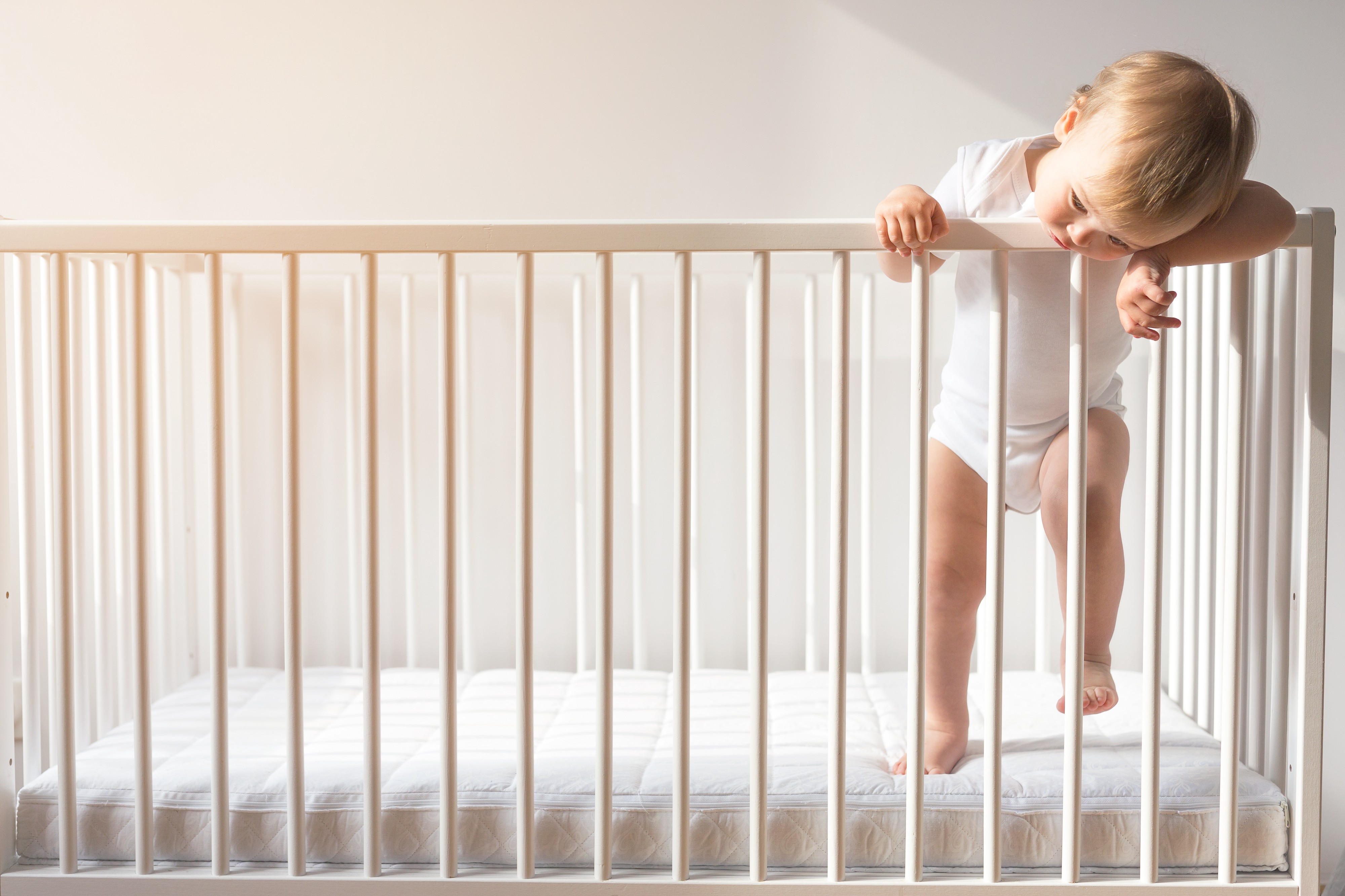 places to buy baby cribs